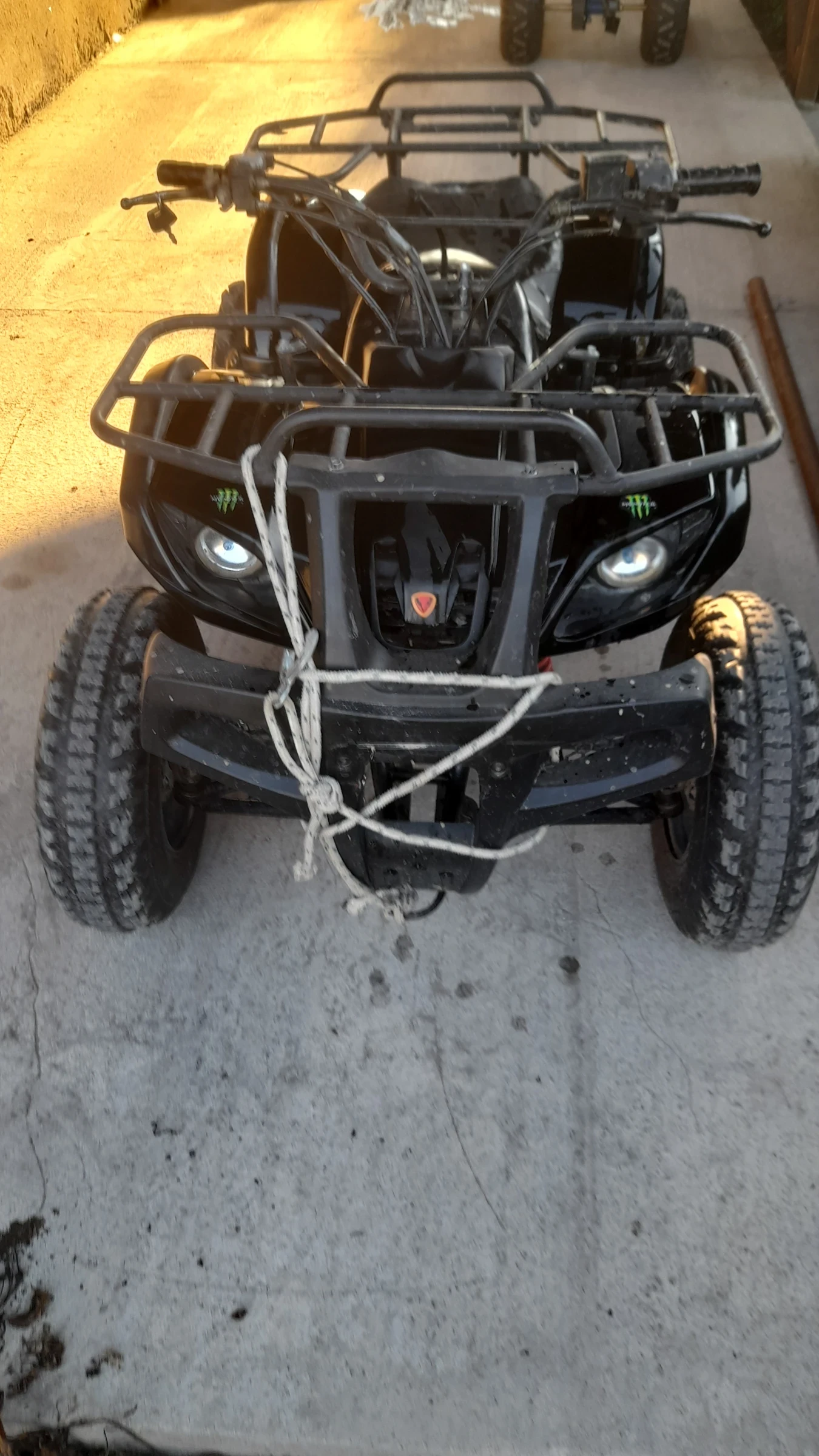 Aeon Cobra