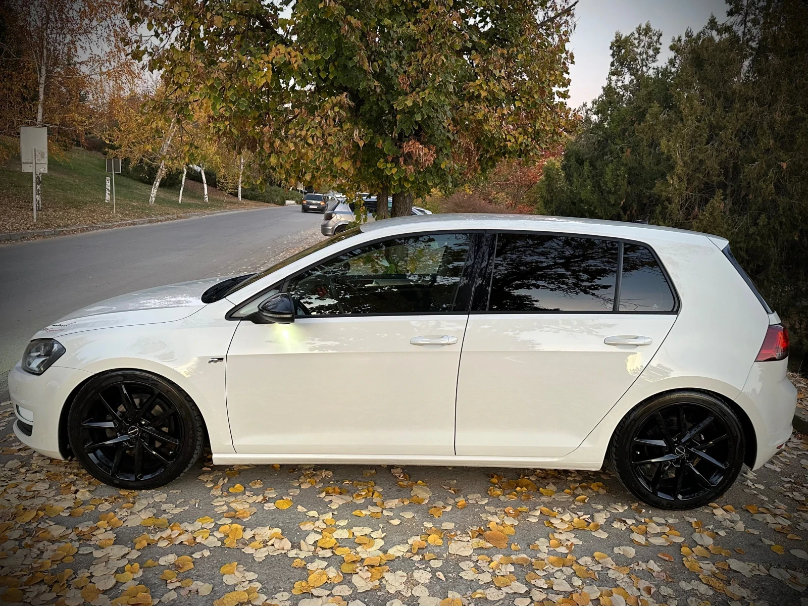 VW Golf 1.6 TDI BlueMotion ACC  - изображение 10