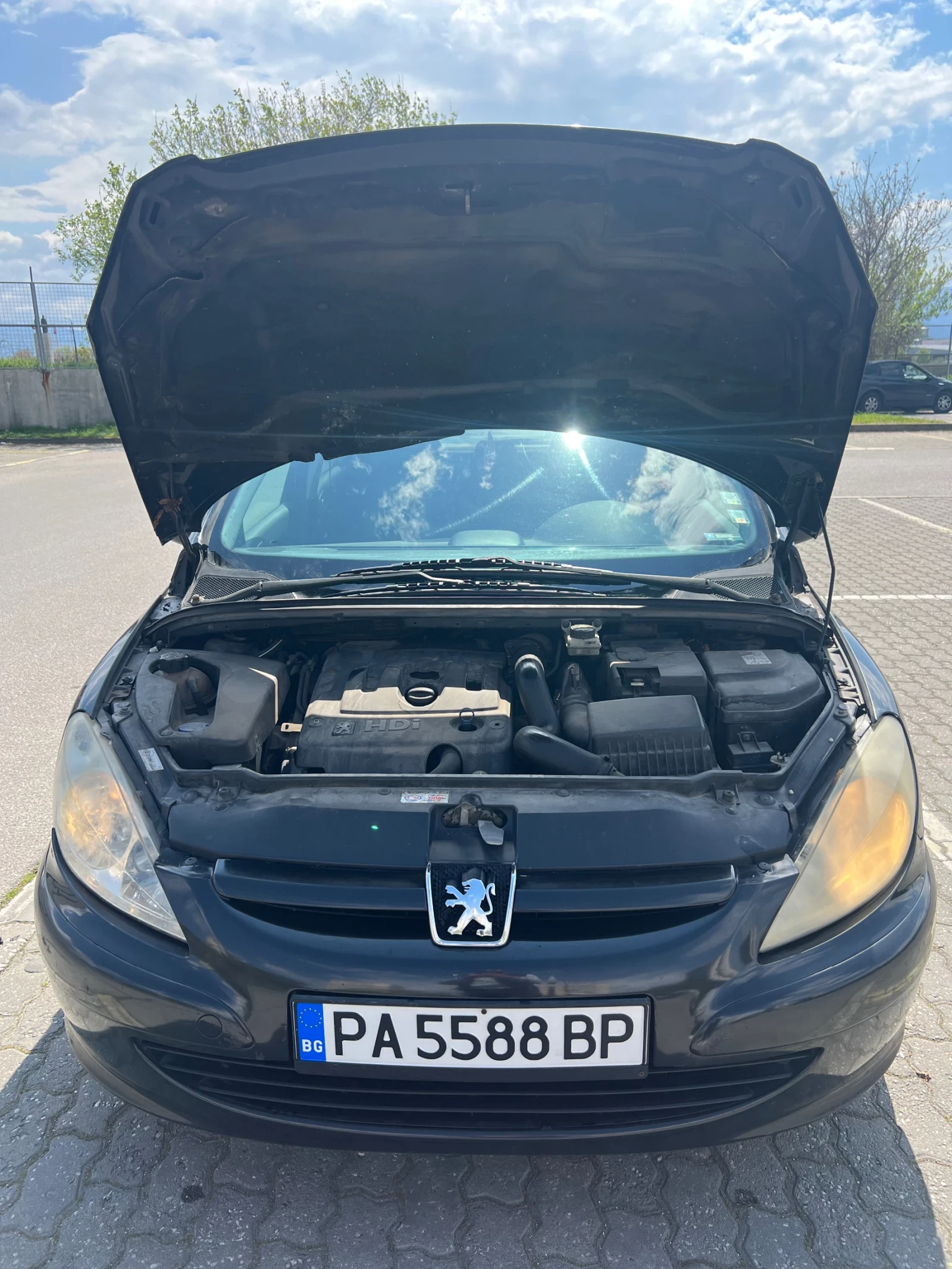 Peugeot 307, снимка 11 - Автомобили и джипове - 54246237