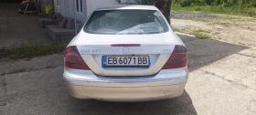 Mercedes-Benz CLK 270 CDI | Mobile.bg    5
