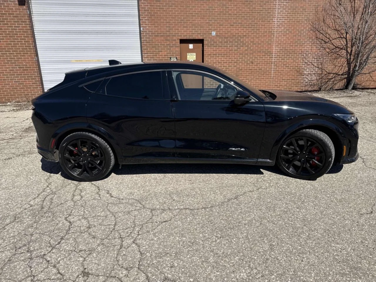 Ford Mustang Mach-E GT Performance Edition* Back cam* Подгрев* Под гум, снимка 3 - Автомобили и джипове - 54006063