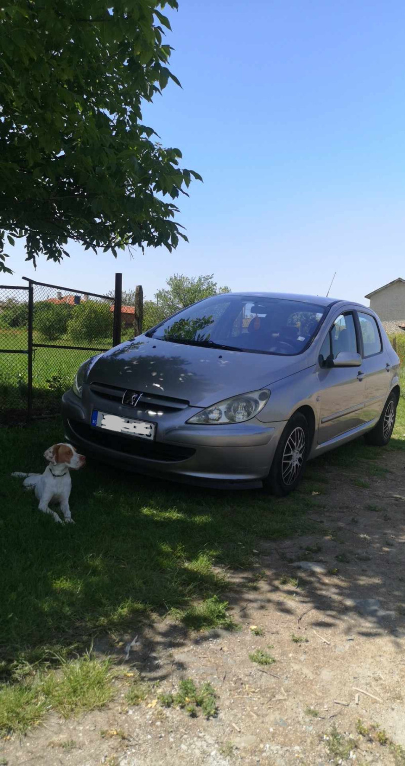 Peugeot 307, снимка 3 - Автомобили и джипове - 45965444
