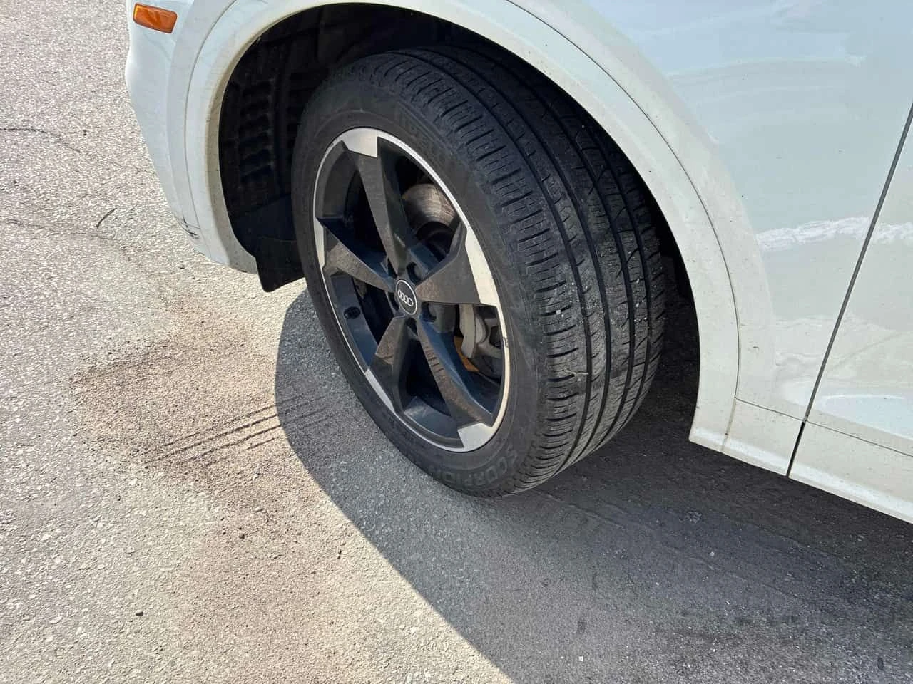 Audi Q5 * PROGRESSIV * �������� * CARFAX * ���� | Mobile.bg � ����������� 7
