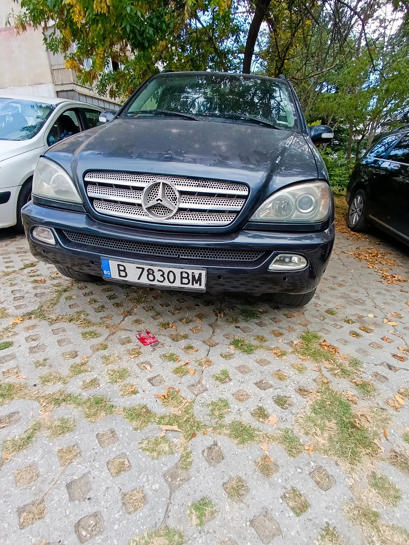 Mercedes-Benz ML 270 2.7, снимка 6 - Автомобили и джипове - 56165593