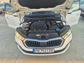 Skoda Octavia С-Гаранция-2.0-М/T - 38860 лв. - 60482245 16