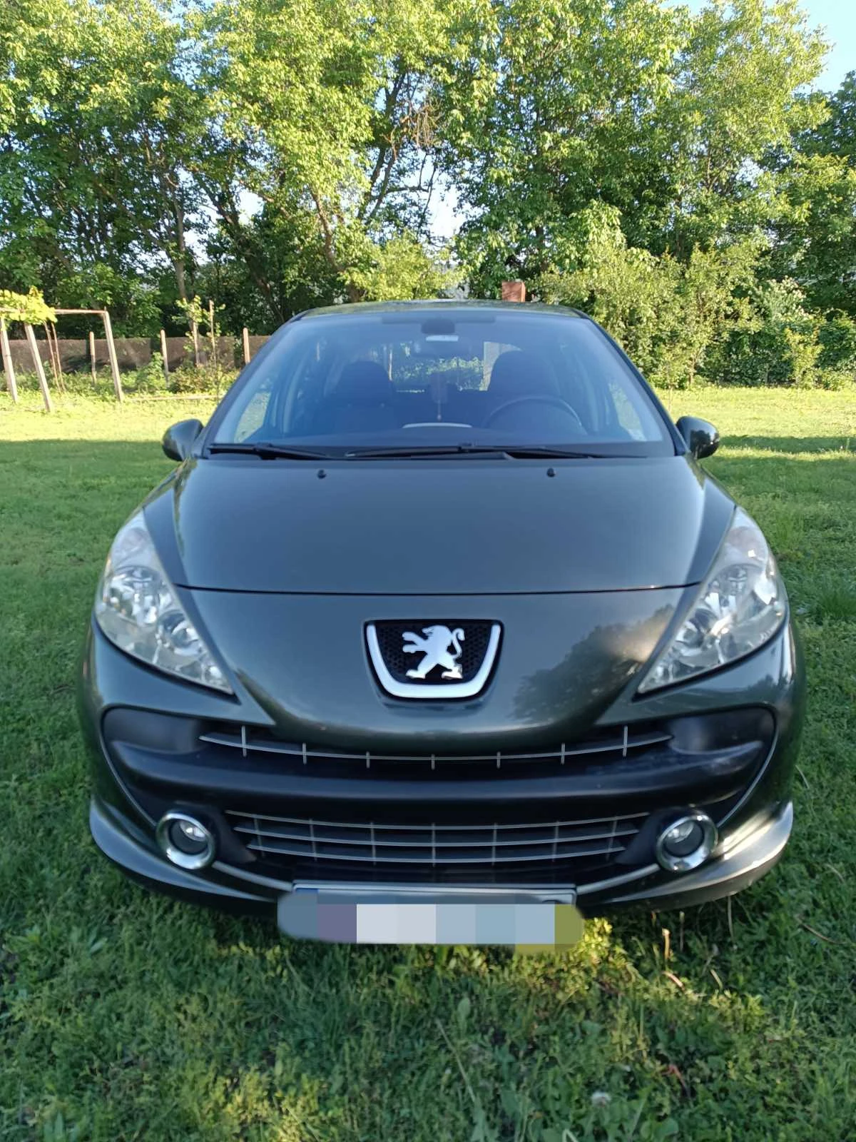 Peugeot 207 1.6i - изображение 2