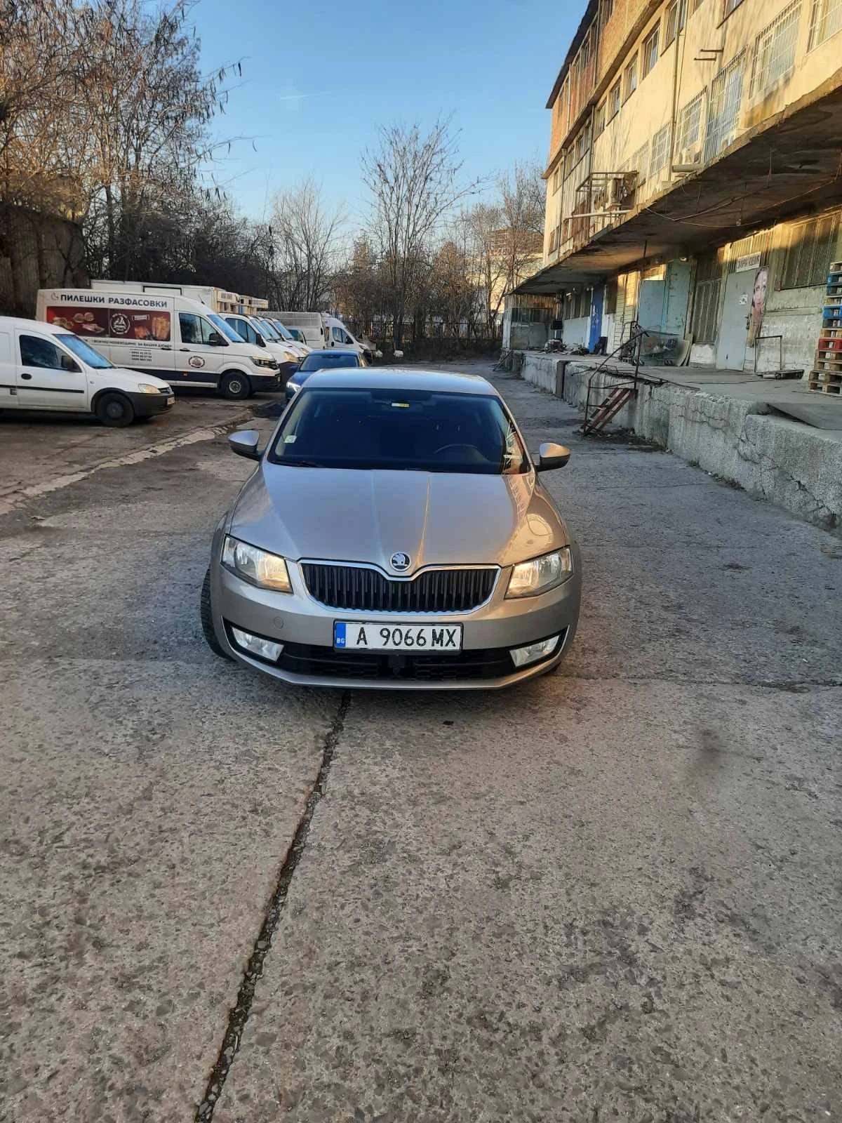 Skoda Octavia | Mobile.bg   1