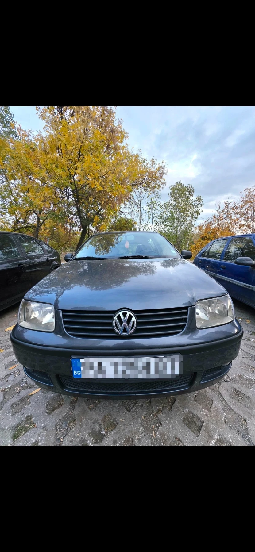 VW Polo