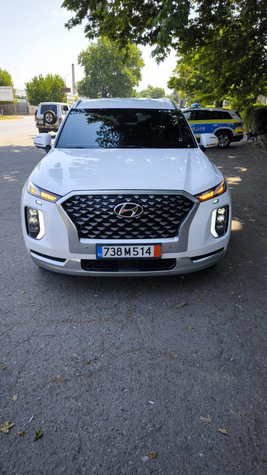 Hyundai Palisade Calligraphy * VIP*  - изображение 2