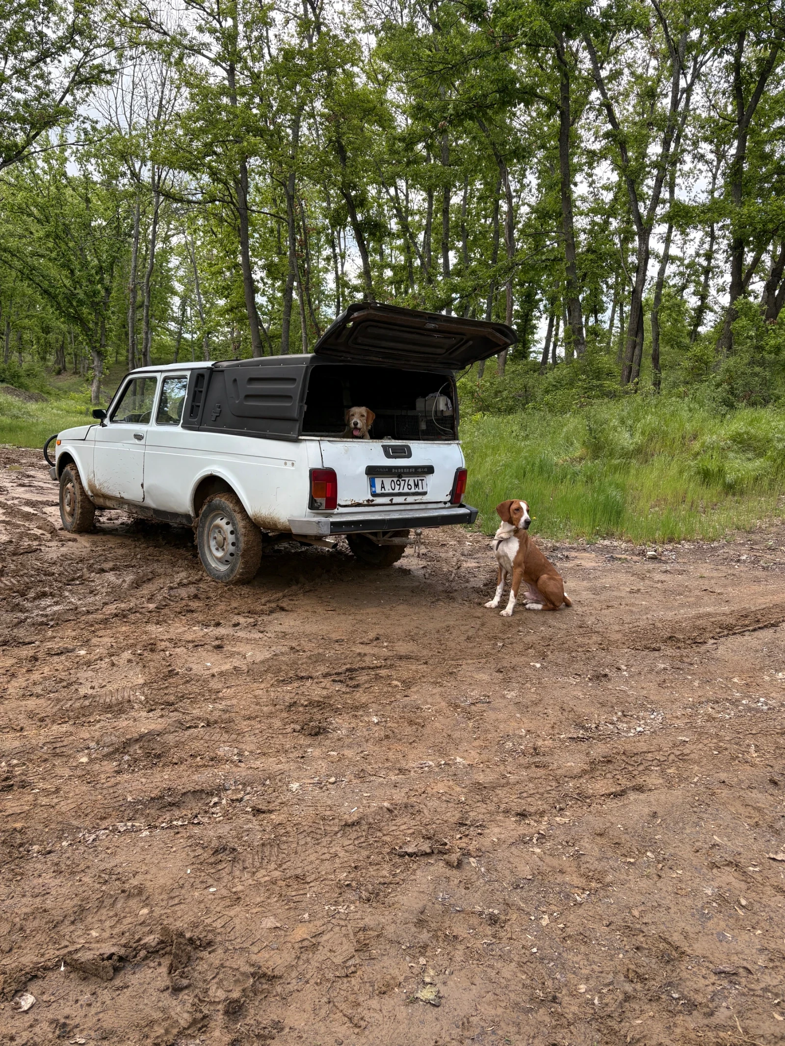 Lada Niva | Mobile.bg � ����������� 12