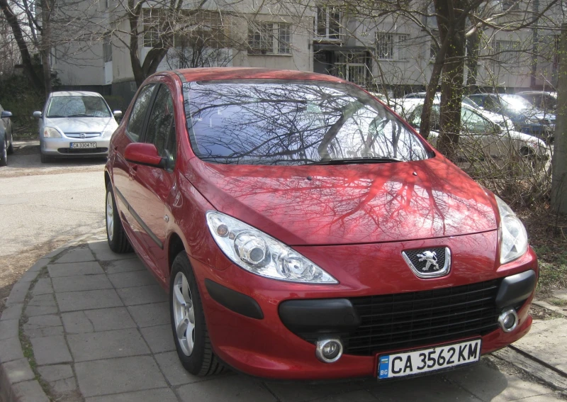 Peugeot 307 1.6 HDI, снимка 3 - Автомобили и джипове - 52430780