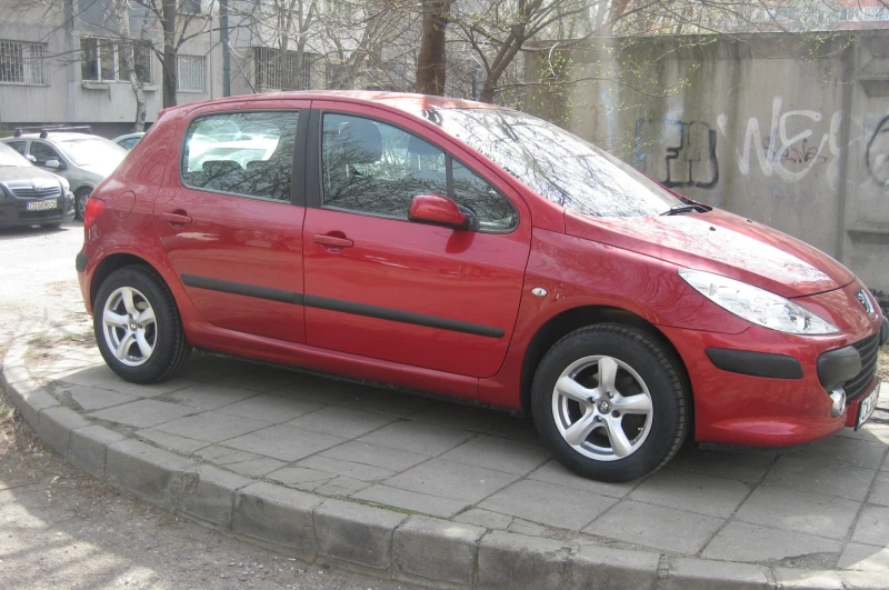 Peugeot 307 1.6 HDI, снимка 2 - Автомобили и джипове - 52430780