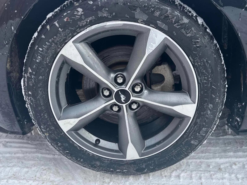 Ford Mustang 3.7 V6* MANUAL* RWD* CARFAX* АВТО КРЕДИТ* , снимка 6 - Автомобили и джипове - 53327351