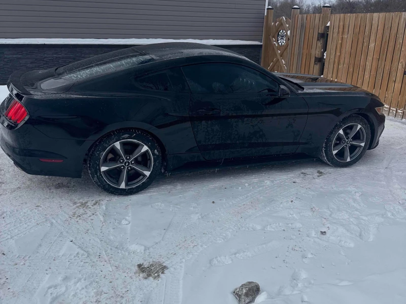 Ford Mustang 3.7 V6* MANUAL* RWD* CARFAX* АВТО КРЕДИТ* , снимка 4 - Автомобили и джипове - 53327351