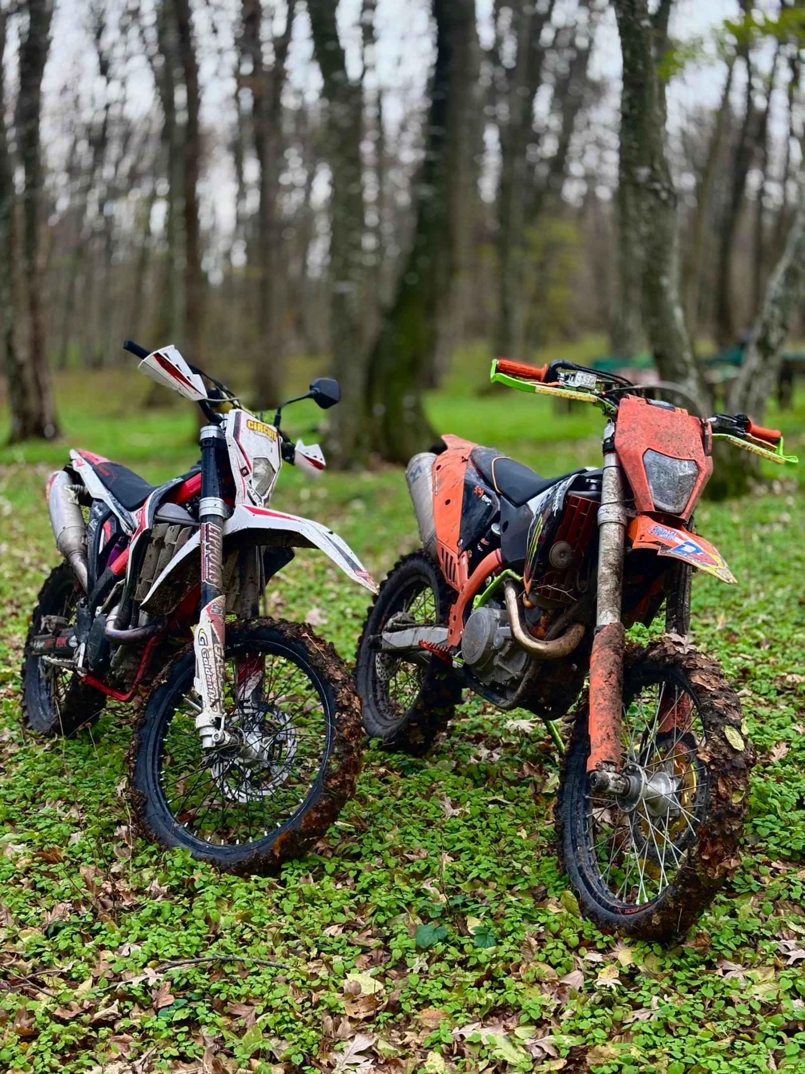 Ktm EXC 530 �2 ��������� | Mobile.bg � ����������� 1