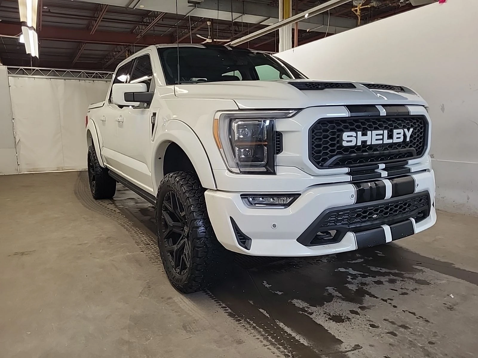 Ford F150 SHELBY � ����������� & ���� ������ | Mobile.bg � ����������� 2