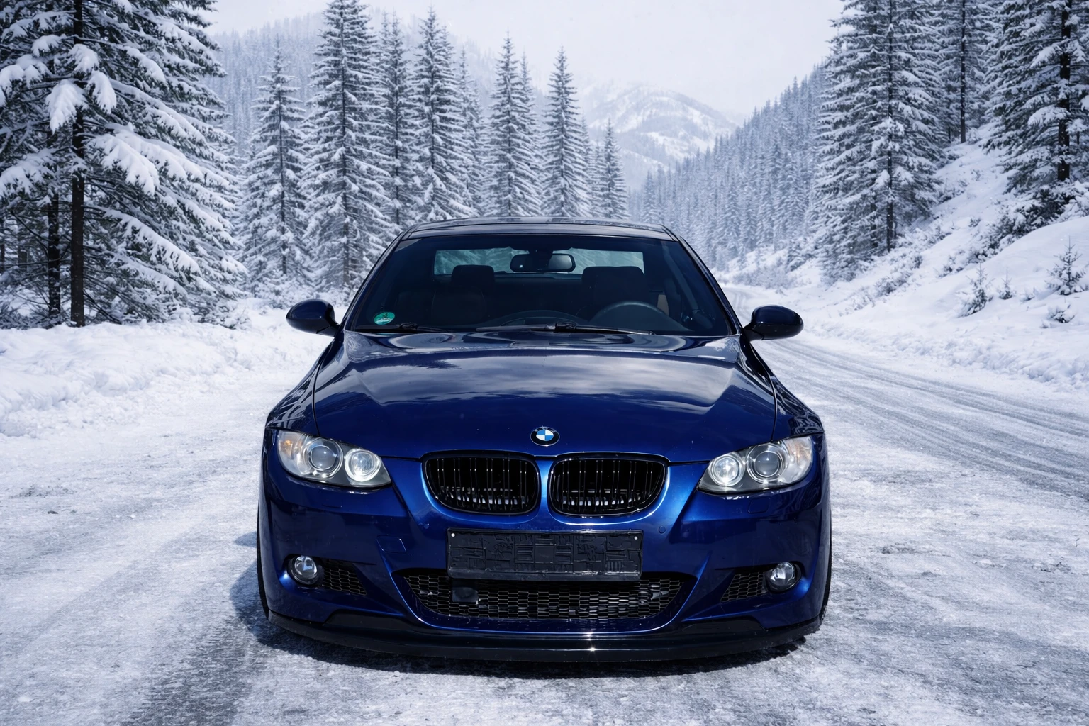 BMW 330 xDrive/BiXenon/PDC/Rain Sensor/Distronic - изображение 2