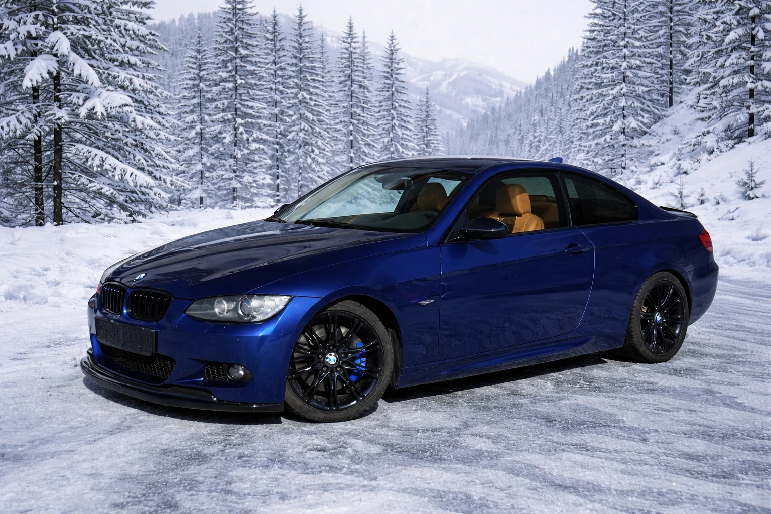 BMW 330 xDrive/BiXenon/PDC/Rain Sensor/Distronic - изображение 3