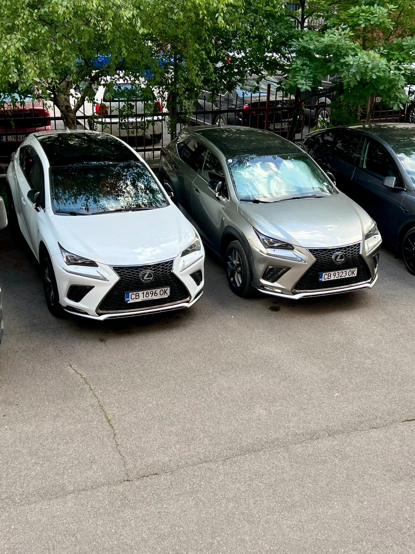 Lexus ES 300 300h  F Sport  / Гаранция, снимка 17 - Автомобили и джипове - 55441052
