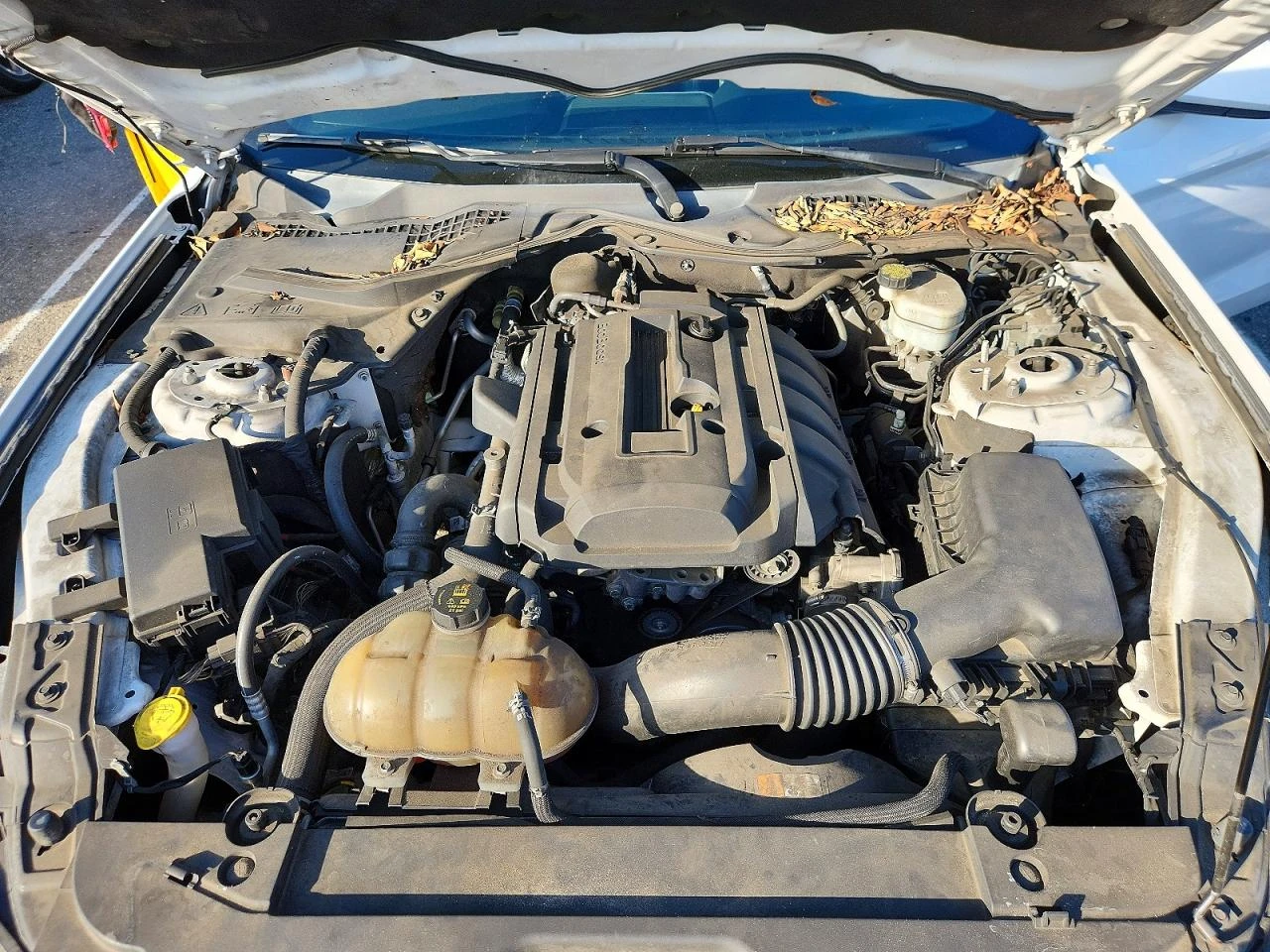 Ford Mustang 2.3l, снимка 11 - Автомобили и джипове - 53756223