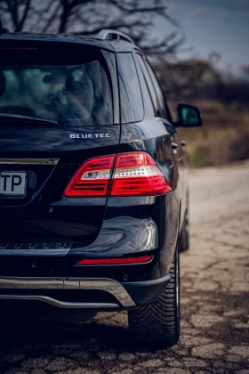 Mercedes-Benz ML 250, снимка 8