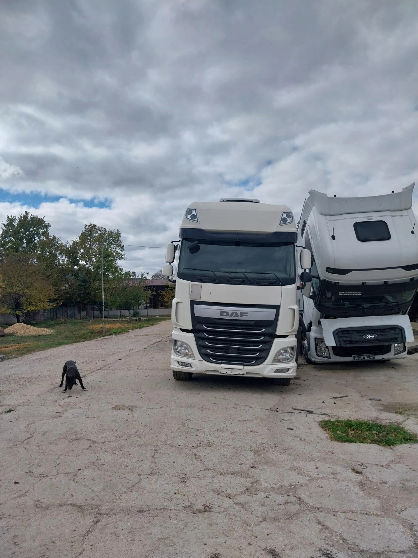 Daf XF 460, снимка 2 - Камиони - 56644093