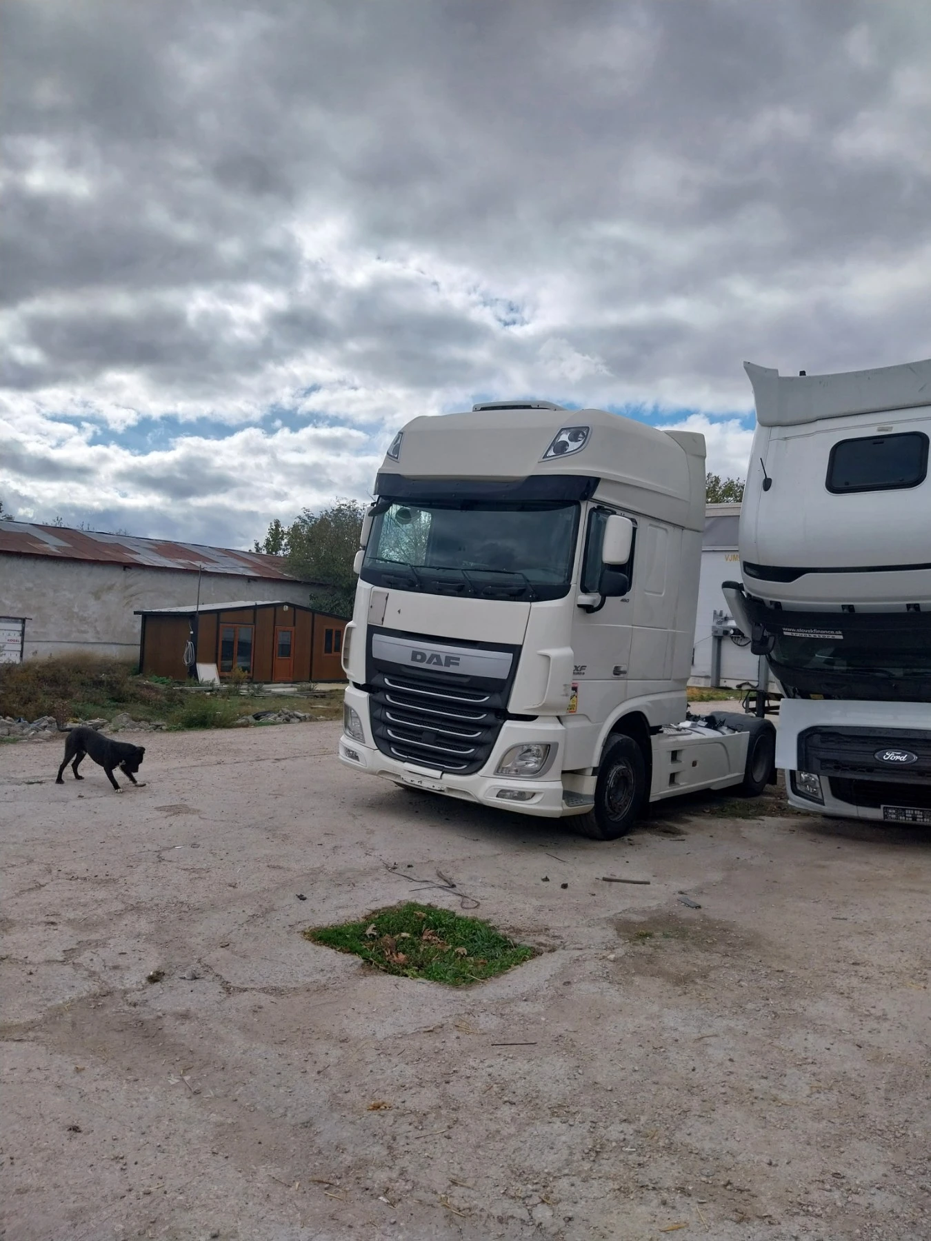 Daf XF 460, снимка 3 - Камиони - 56644093