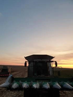 Хедер Други MAANS М, снимка 6