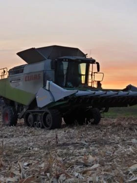 Хедер Други MAANS М, снимка 5