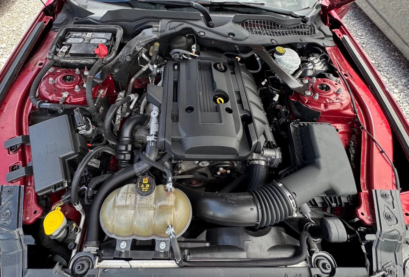 Ford Mustang 2.3 ECOBOOST Подгрев* Обдухване* Камера, снимка 16 - Автомобили и джипове - 54582103