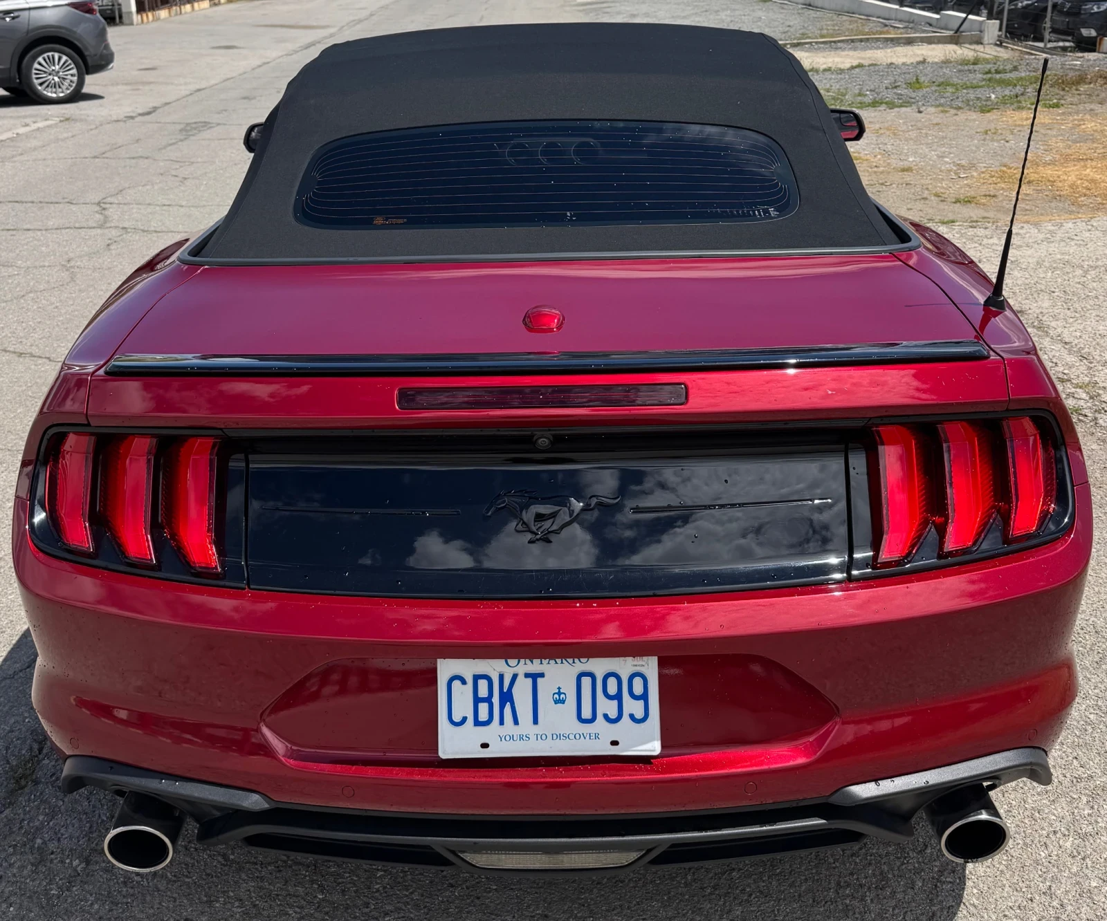 Ford Mustang 2.3 ECOBOOST Подгрев* Обдухване* Камера, снимка 6 - Автомобили и джипове - 54582103