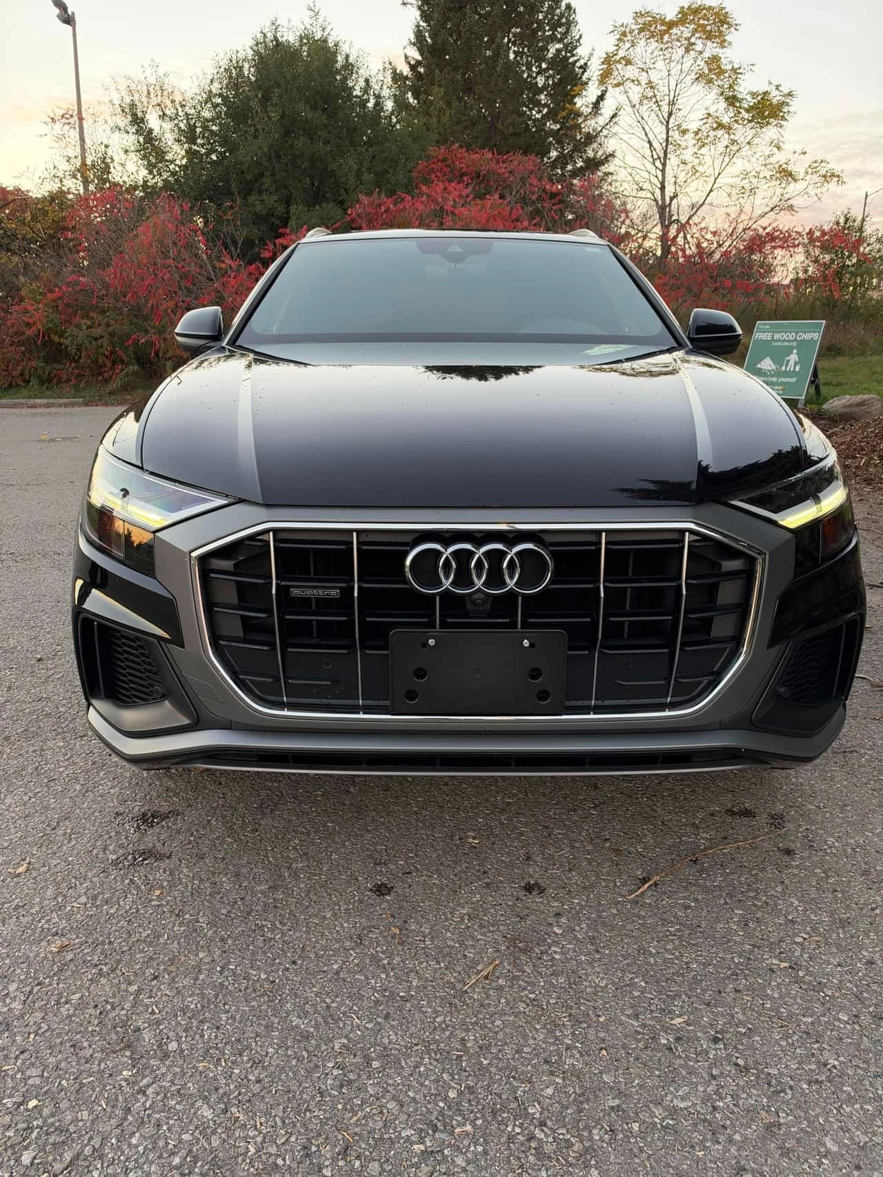 Audi Q8 * Progressiv * CARFAX * ��� ������������ ������ | Mobile.bg � ����������� 6