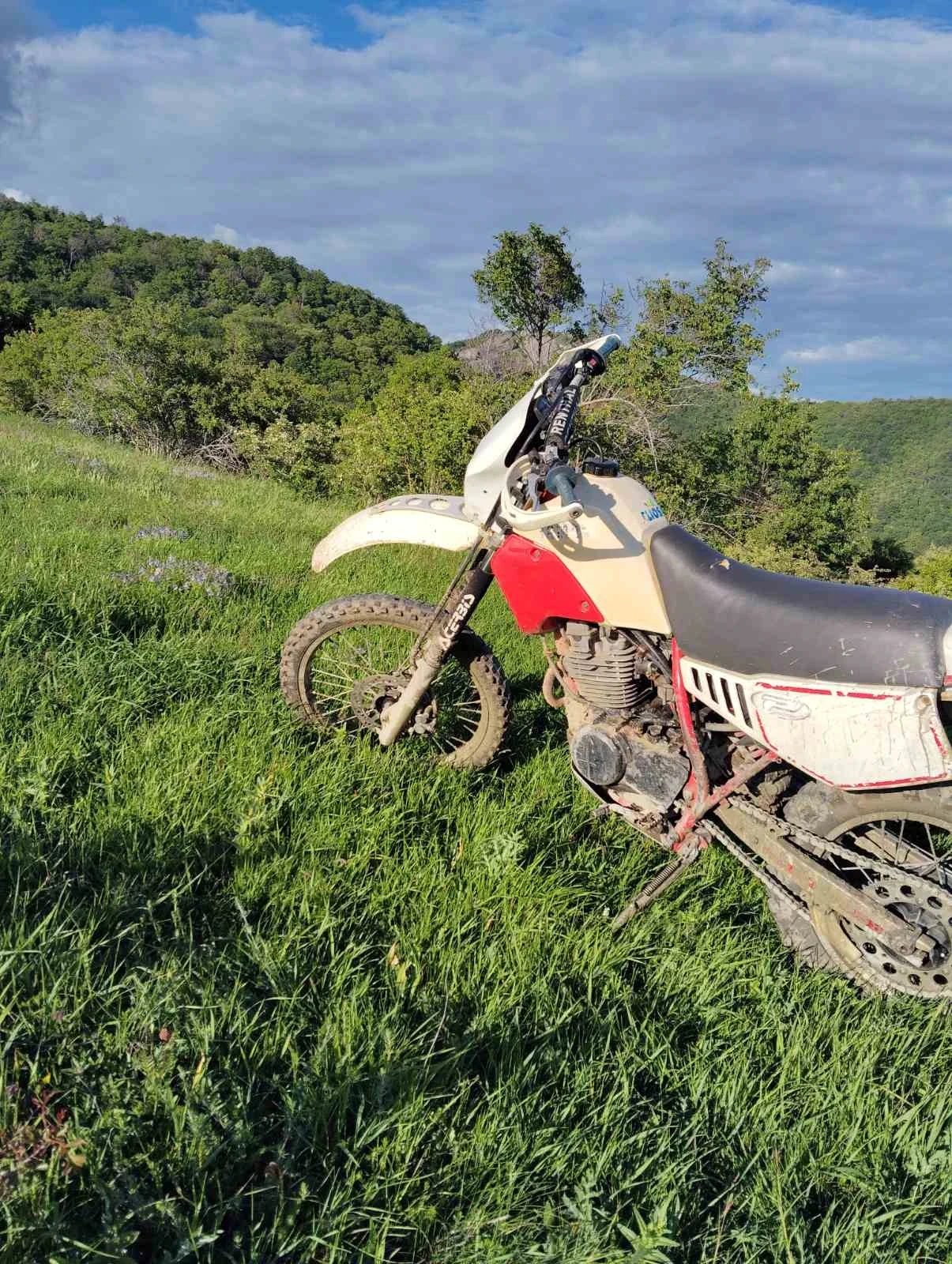 Yamaha Tt  - изображение 2