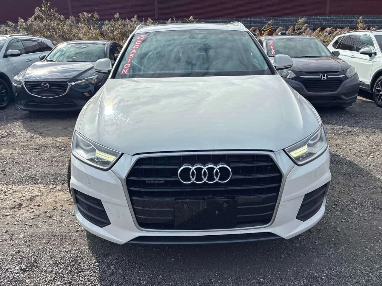 Audi Q3 * Progressiv * CARFAX * ЦЕНА ДО БГ, снимка 5 - Автомобили и джипове - 56625881