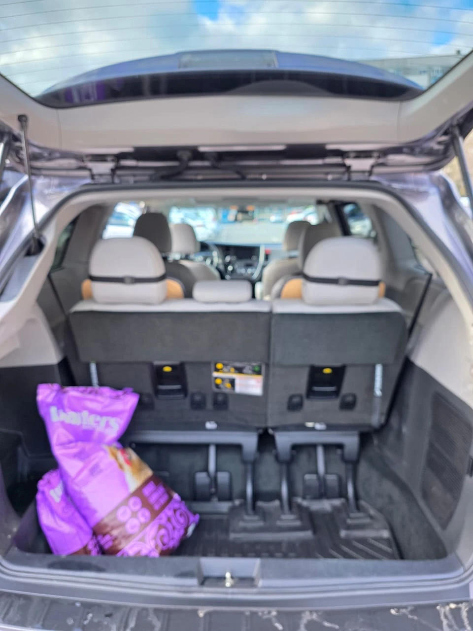 Toyota Sienna, снимка 7 - Автомобили и джипове - 53718389