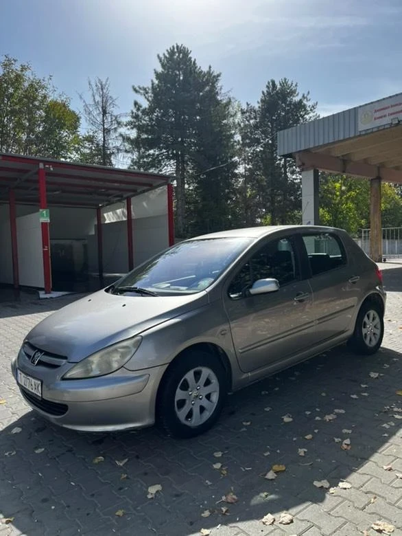 Peugeot 307 1.6 16v, снимка 1 - Автомобили и джипове - 47470479