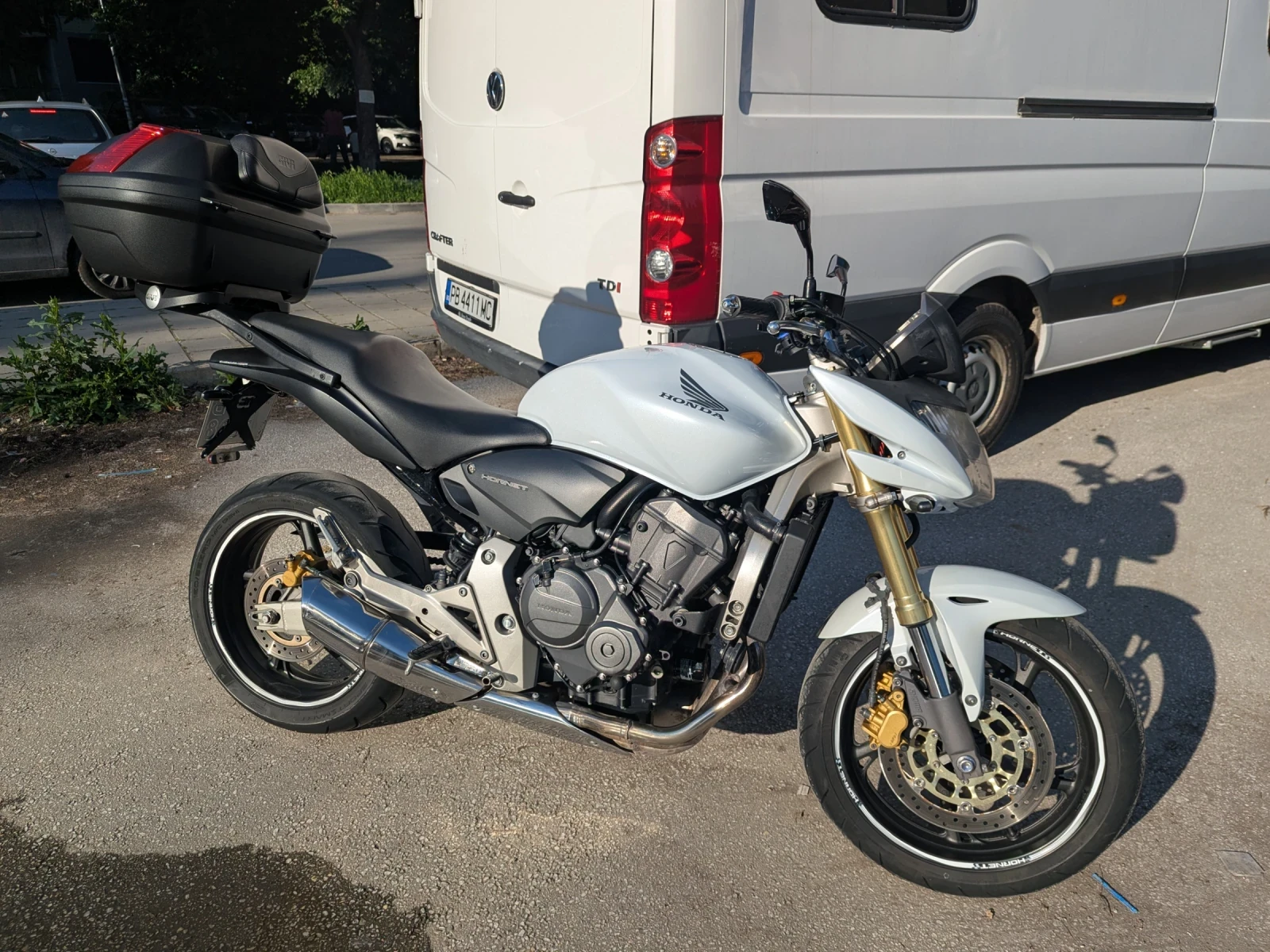 Honda Hornet