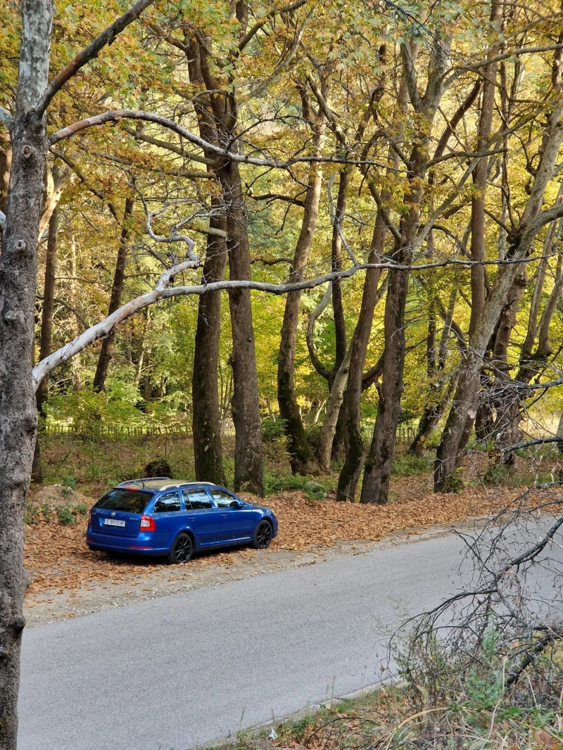 Skoda Octavia VRS, снимка 3 - Автомобили и джипове - 52965848