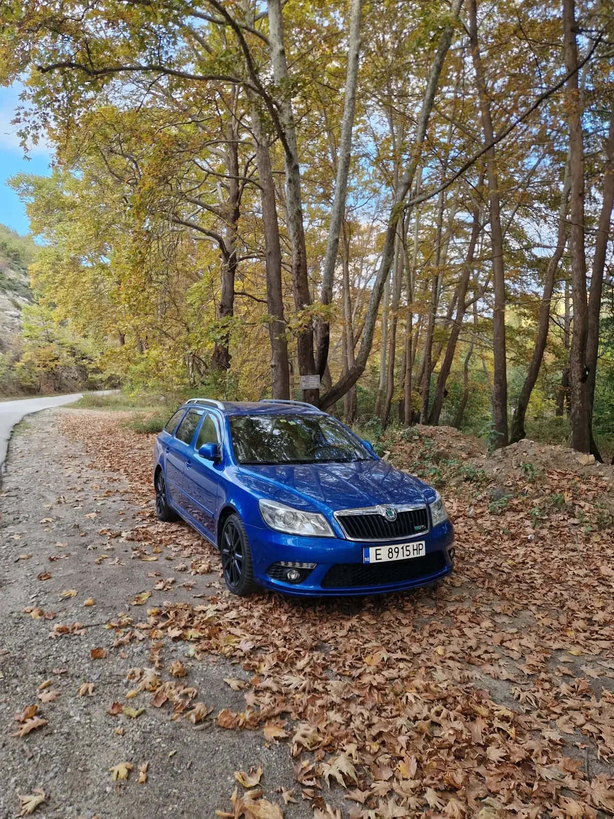 Skoda Octavia VRS - изображение 2
