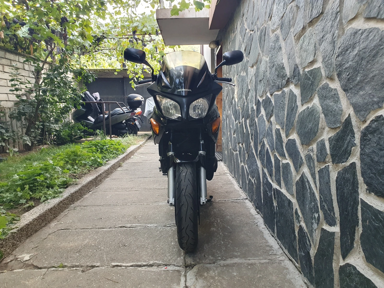 Honda Cbf 600 ABS - изображение 8