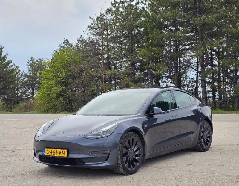 Tesla Model 3 Performance EU Гаранция