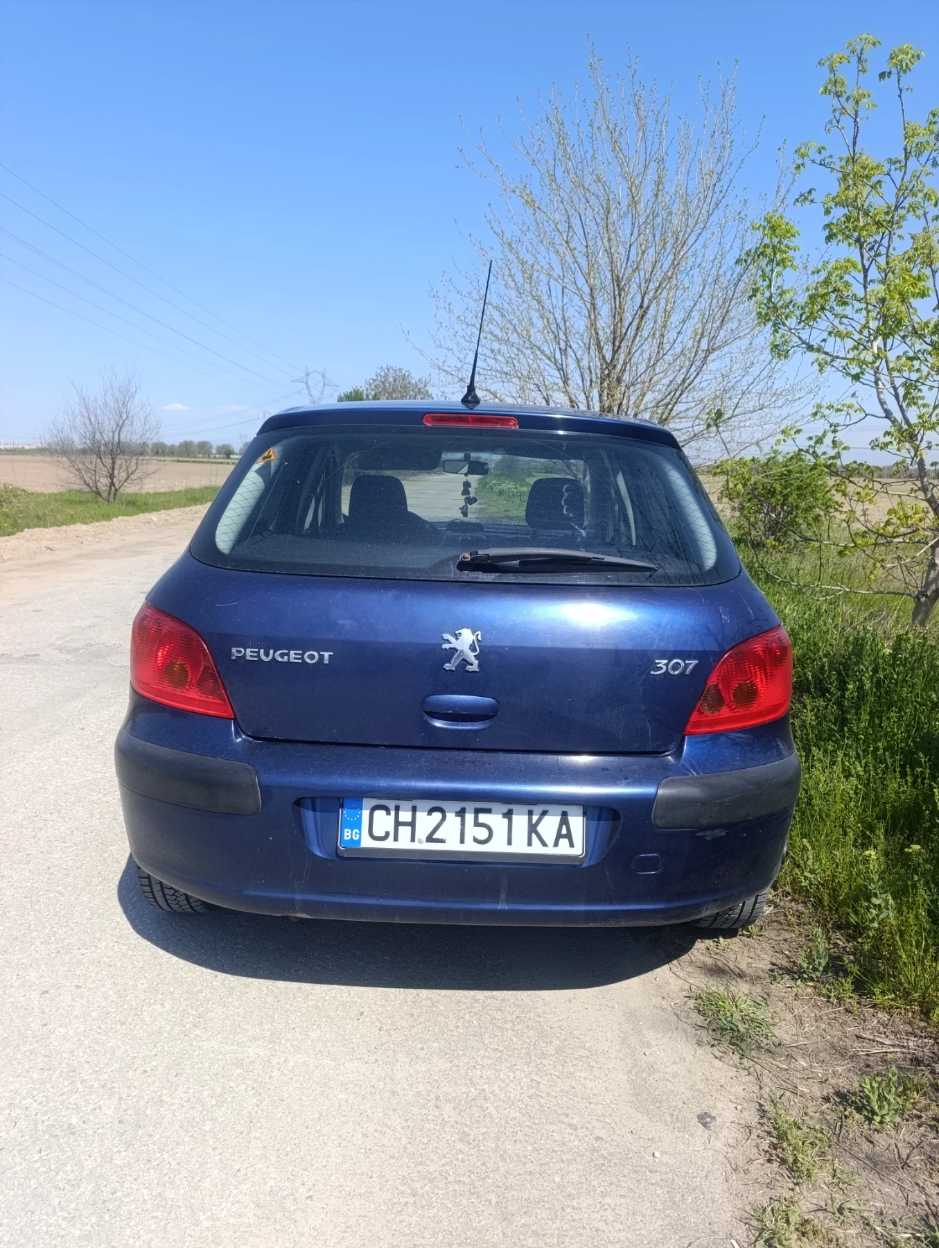 Peugeot 307 1.6Газ-Бензин, снимка 3 - Автомобили и джипове - 55210888