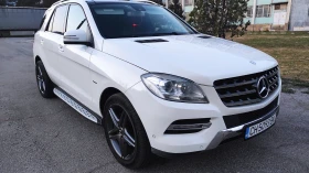 Mercedes-Benz ML 250 250 | Mobile.bg    4