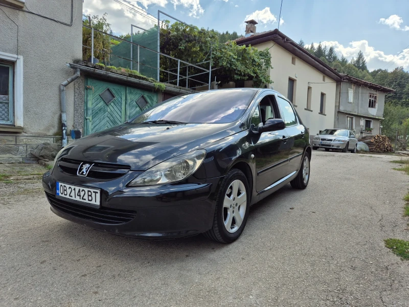 Peugeot 307, снимка 7 - Автомобили и джипове - 51367846