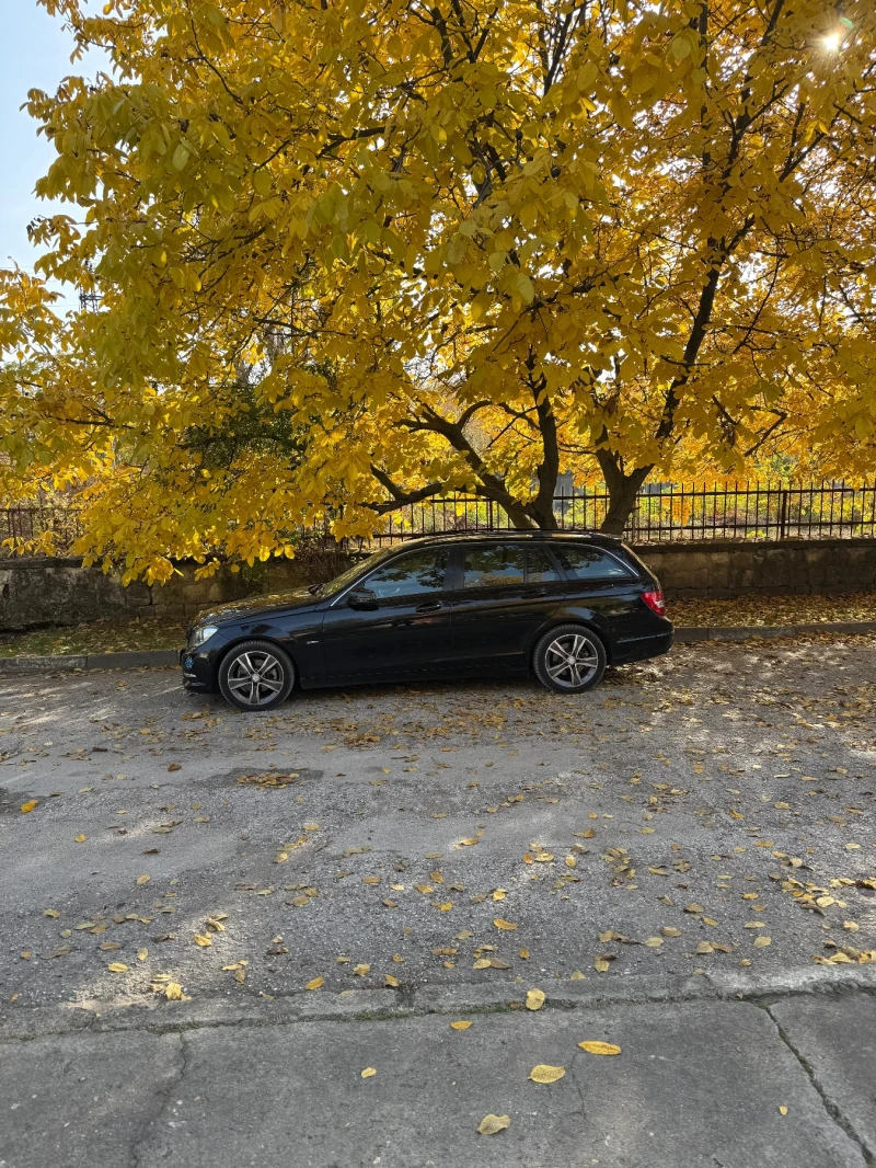 Mercedes-Benz C 250 4X4, снимка 14 - Автомобили и джипове - 52031618