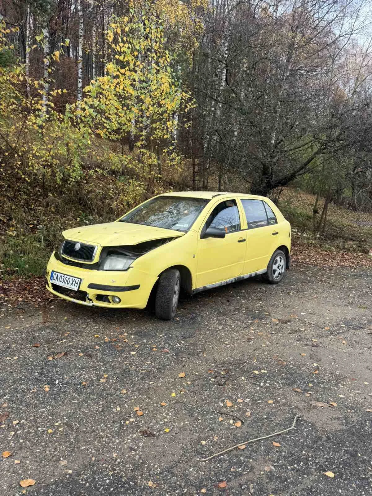 Skoda Fabia, снимка 4 - Автомобили и джипове - 54769724