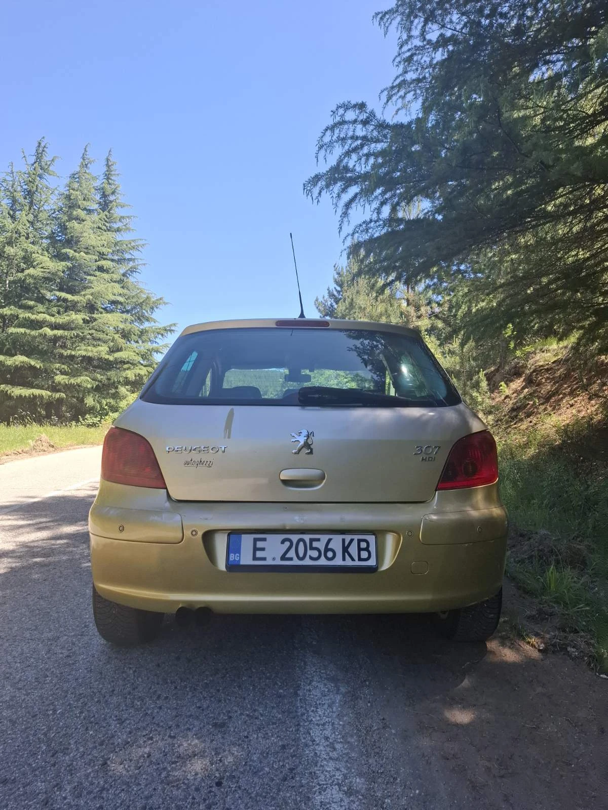 Peugeot 307 HDI, снимка 4 - Автомобили и джипове - 54739234