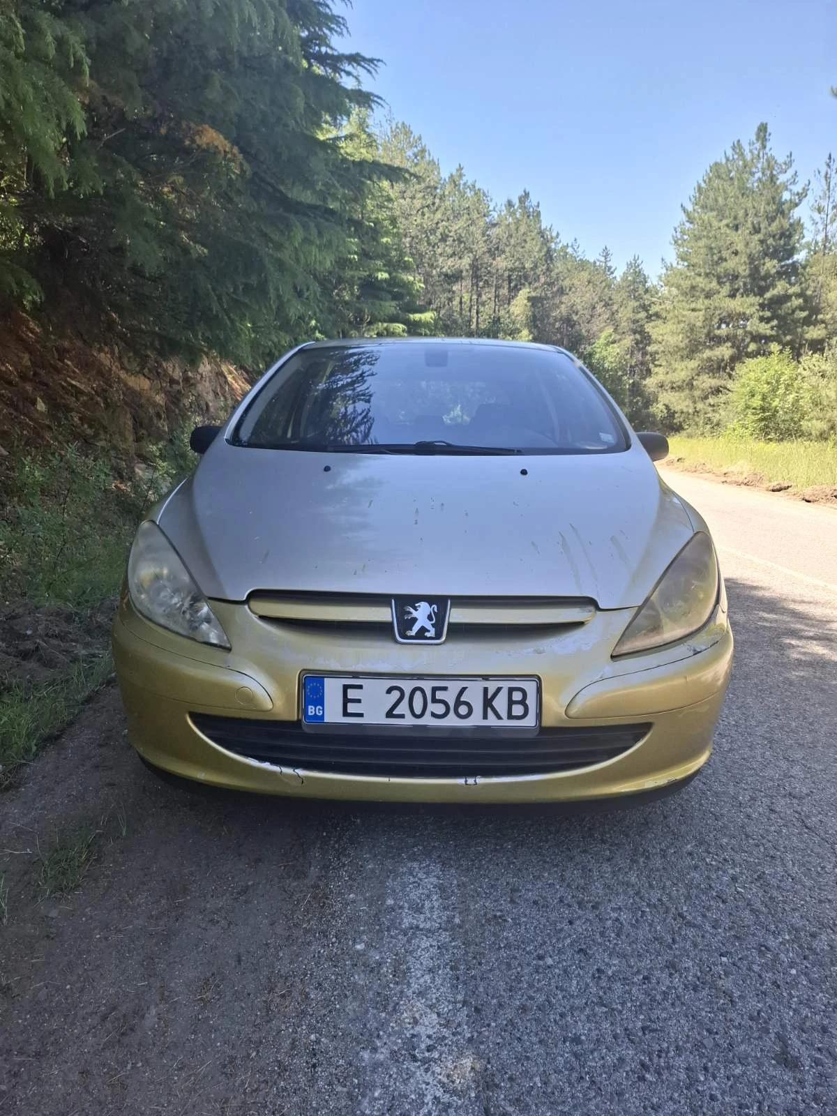 Peugeot 307 HDI, снимка 3 - Автомобили и джипове - 54739234