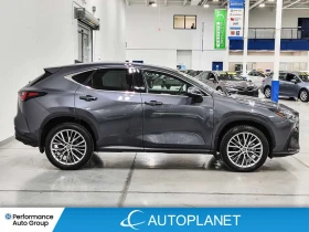 Lexus NX Ultra Premium AWD - 33500 € / 65520.31 лв. - 62879370 10