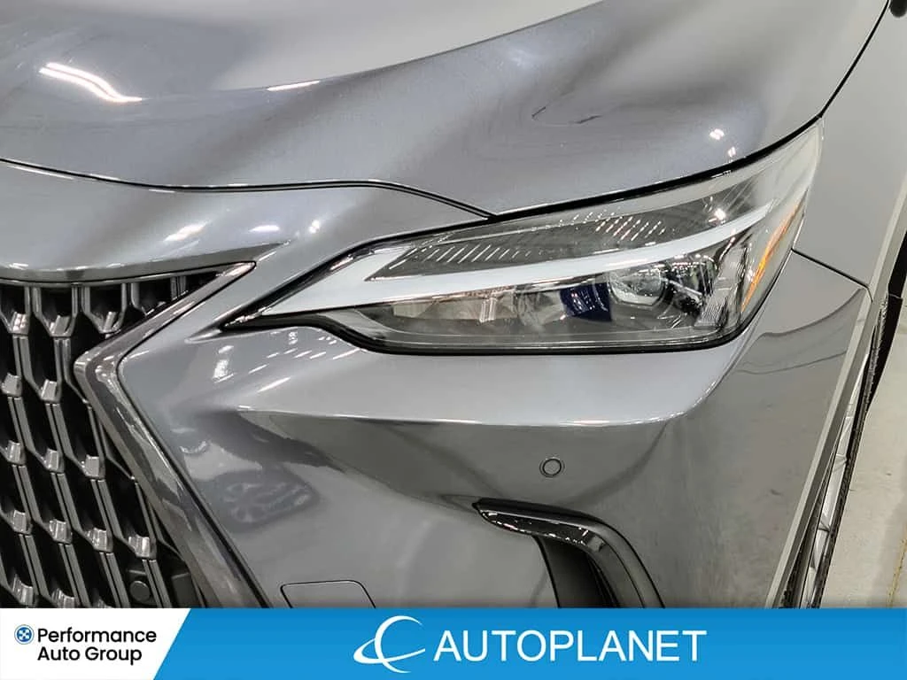 Lexus NX Ultra Premium AWD, снимка 11 - Автомобили и джипове - 53782829